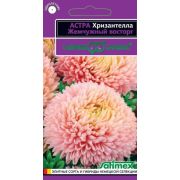 Астра Хризантелла Жемчужный восторг 0,05 г Н20 (Гавриш)