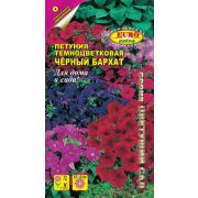 Петуния Чёрный Бархат 0,04 гр (АЭЛИТА)