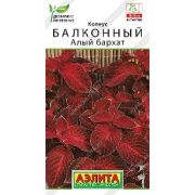 Колеус Балконный Алый бархат цв.п. 5 шт (АЭЛИТА)