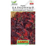 Колеус Балконный Шоколадный бархат цв.п. 5 шт (АЭЛИТА)