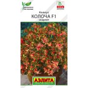 Колеус Колоча Скарлет цв.п. 5 шт (АЭЛИТА)