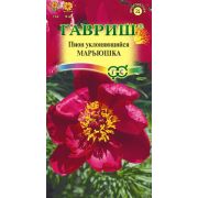 Пион уклоняющийся Марьюшка 3 шт (Гавриш)