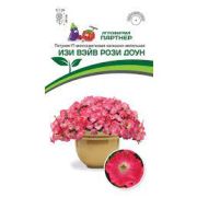 Петуния Изи Вэйв Рози Доун F1 многоцветковая каскадно-ампельная 5шт в амп (Партнер)