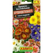 Примула Крупноцветковая смесь бесстебельная цв.п. 7 шт (АЭЛИТА)