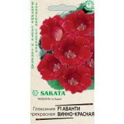 Глоксиния Аванти винно-красная F1 гранул. 4 шт. пробирка Н12 (Гавриш)