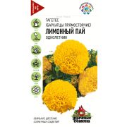Бархатцы Лимонный пай пр. 0,1 г уд.с.(Гавриш)