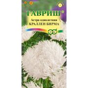 Астра Краллен Бирма кремово-белая 0,3 г Н7 (Гавриш)