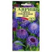 Скабиоза Лавандовая леди пурпурная 0,2 г Н9 (Гавриш)