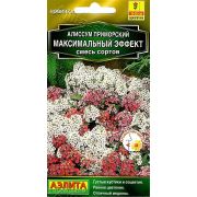 Алиссум Максимальный Эффект смесь приморский ц.п. 0,05 гр (АЭЛИТА)