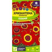 Хризантема Пламя килеватая цв.п.0,1 гр (Сем Алт)
