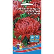 Астра Королева в красном пионовидная 0,3 гр цв.п. (Марс)
