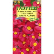 Бегония Вариация темно-розовая. 5 шт пробирка (Гавриш)