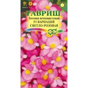 Бегония Вариация светло-розовая. 5 шт пробирка (Гавриш)