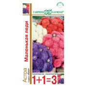 Астра Маленькая леди смесь 0,6 г1+1 Н14 (Гавриш)