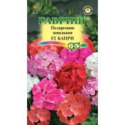 Пеларгония Капри F2 зональная 4 шт Н12 (Гавриш)