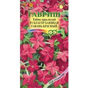 Табак Благоухающая гавань красный душистый F1 4шт Н14 (Гавриш)