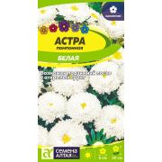Астра помпонная Белая цв.п.0,2 гр (Сем Алт)