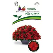 Бальзамин Ред Каули крупноцветковый 5 шт (Партнер)