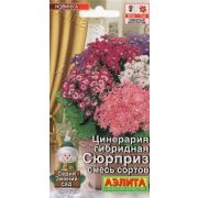 Цинерария гибридная Сюрприз смесь сортов цв.п.30 шт (АЭЛИТА)