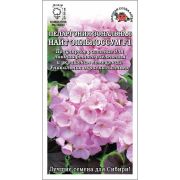 Пеларгония Найт Эплблоссум цв/п 3 шт /Сотка/