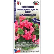 Бегония Фея Малиновая цв.п. 5 шт /Сотка/