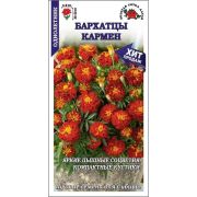 Бархатцы Кармен /Сотка/ 0,2г/ откл. красно-корич. h-20-30см d-4-6см/*1200