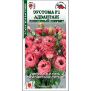 Эустома Авантаж Вишневый Шербет цв/п 5 шт /Сотка/