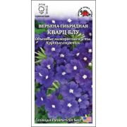 Вербена Кварц Блу /Сотка/ 5шт/ h-25см, d-7см/*500