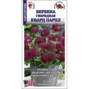 Вербена Кварц Парпл /Сотка/ 5шт/ h-25см, d-7см/*500
