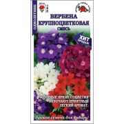 Вербена Крупноцветковая смесь /Сотка/ 0,1г/ h-20-30см d-6-7см/*1500