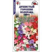 Душистый горошек Колорама /Сотка/ 0,5г/ смесь h-250см d-3-5см/*700