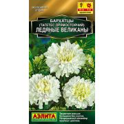 Бархатцы Ледяные Великаны прямостоячий цв.п.7 шт (АЭЛИТА)