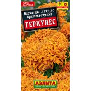 Бархатцы Геркулес прямостоячий цв.п.0,1 гр (АЭЛИТА)