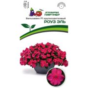 Бальзамин Роуз Эль крупноцветковый 5 шт (Партнер)