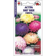 Астра Биг Бен смесь /Сотка/ 0,2г/ пион. h-65см, d-10см/*1500