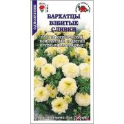 Бархатцы Взбитые Сливки /Сотка/ 0,1г/ прям. белые 35см, d-7см/*1500