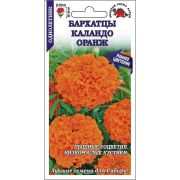 Бархатцы Каландо Оранж /Сотка/ 0,2г/ прям. 35см, d-10см/*1200