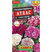 Гвоздика Атлас смесь бородатая цв.п. 0,1 гр (АЭЛИТА)