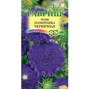 Астра Пампушка черничная 0,3 г Н12(Гавриш)