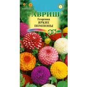 Георгина Яркие помпоны 0,2 г Н9(Гавриш) Р.