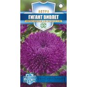 Астра Гигант Виолет серия Русский богатырь 0,05 гр (Гавриш)
