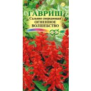 Сальвия Огненное волшебство 0,05 гр (Гавриш)