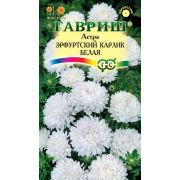 Астра Эрфуртский карлик Белая 0,3 г (Гавриш)