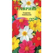 Георгина Миньон, смесь 0,3 г (Гавриш) Р.
