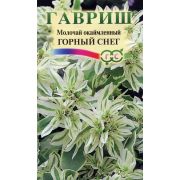 Молочай окаймленный Горный снег 0,5 г Н8 (Гавриш) Р.