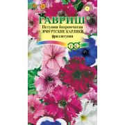 Петуния Эрфуртские карлики бахр фриллитуния. 7шт(Гавриш)