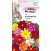 Георгина Чародейка, смесь 0,3 г сер. Чудесный балкон Н10 (Гавриш) Р.