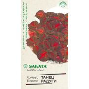 Колеус Танец Радуги 4шт серия Саката (Гавриш)