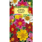 Георгина Веселые ребята 0,3 г Н9(Гавриш) Р.