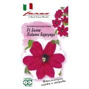 Петуния Белла Пикоти Бургунди 10 шт (Гавриш)